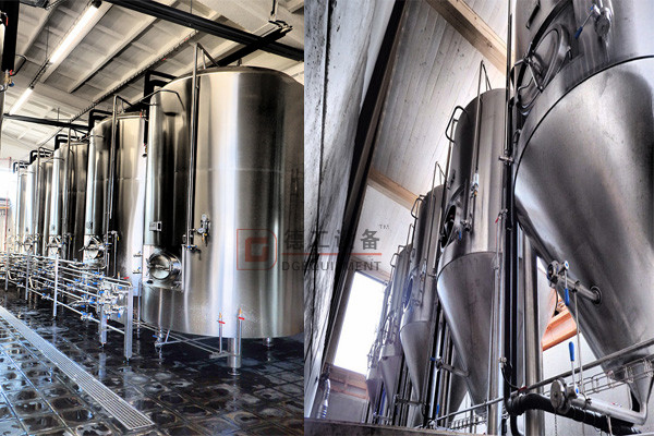 发酵 清酒 _ 副本