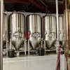 Equipo de elaboración de cerveza comercial automatizado llave en mano 500L para la venta en Irlanda