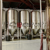 500L presionado y aislado tanque de fermentación de la cerveza de acero inoxidable para la venta