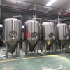 Equipo comercial de fabricación de cerveza artesanal de acero llave en mano 500L para la venta en Colombia