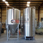 500L fermentador de cerveza bar mini tanque de fermentación de acero inoxidable equipo de elaboración de cerveza en venta