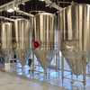 500L profesional comercial de acero máquina de fabricación de cerveza / equipo de cervecería para la venta