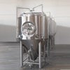 Tanque de fermentación y hervidor de cerveza de 500 litros SS con tanque de fermentación completo equipo de elaboración de cerveza en Europa