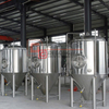 1000L Craft Complete Steel Steel Beer Brewing Equipment Fermenting Vessels Unitank en venta