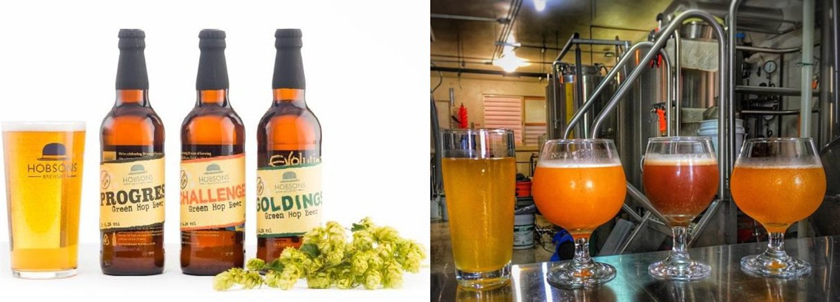 41416334_2031832500202419_4870214853186289664_o_ 副本