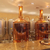 300L Brewpub / restaurant Equipo de microcervecería de cobre usado Equipo de elaboración de cerveza para el hogar completo