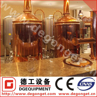 500L personalizable llave en mano de alta calidad de la cerveza Equipo de elaboración de la cerveza para la venta